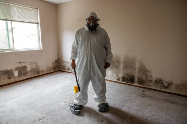 Best Kitchen Mold Remediation in Tracyton, WA